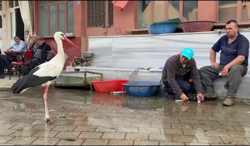 Yaren'in rakibi Bilal Leylek baba oldu