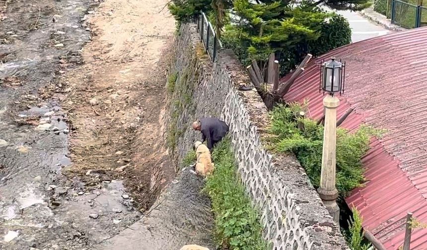 Derede masur kalan köpeklerini böyle kurtardı