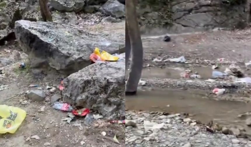 Bursa'nın sevilen deresi çöplüğe döndü