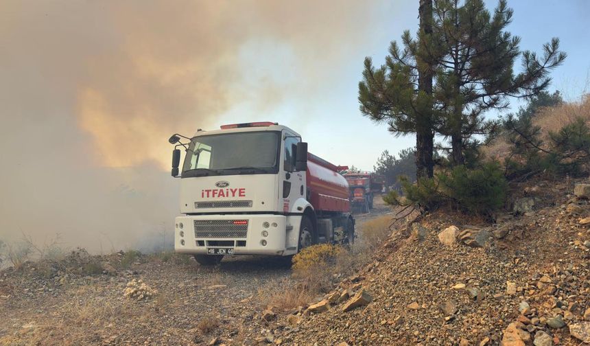Bursa'da orman yangını: Çok sayıda ekip müdahale ediyor