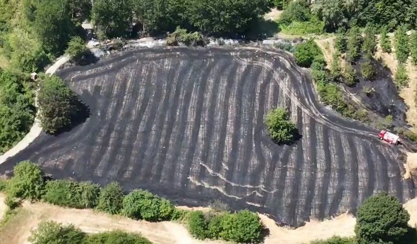 Anız yangını büyümeden söndürüldü