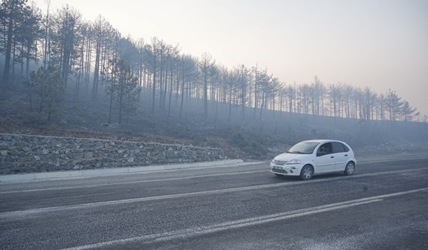 Bursa'daki orman yangını 3. gününde