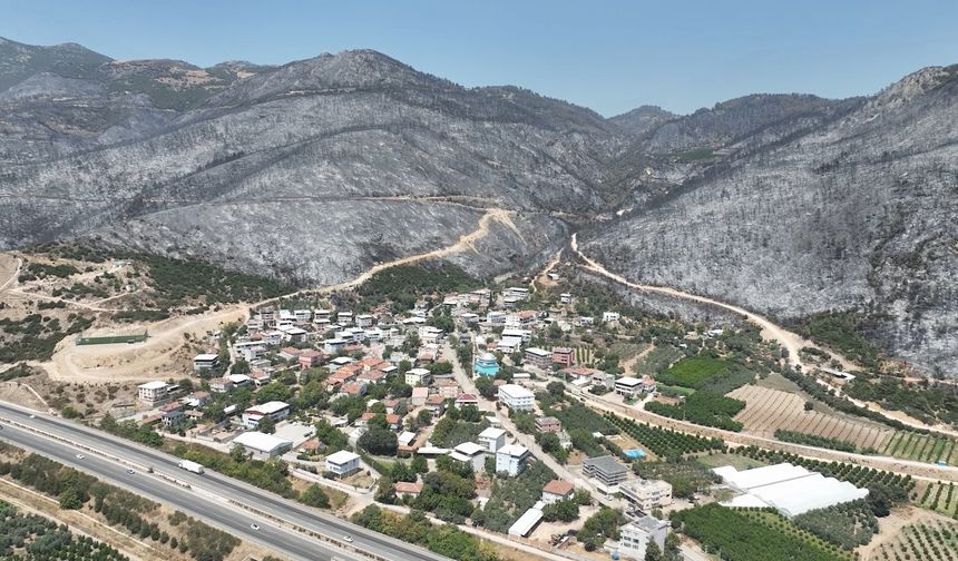 Yeşil Bursa'nın yemyeşil ormanları böyle karardı