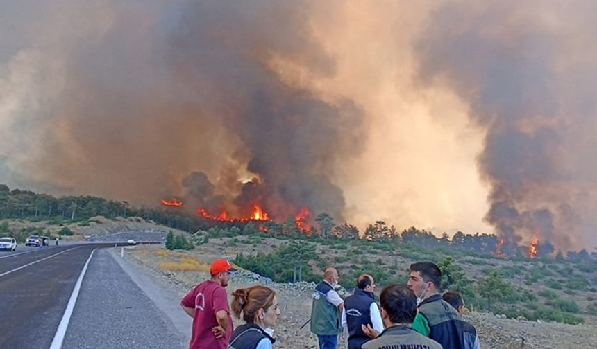 Bursa'da yangınları vatandaş anlık görüntüleyebilecek