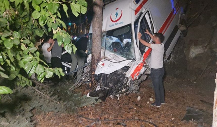 Ambulans bahçeye uçtu