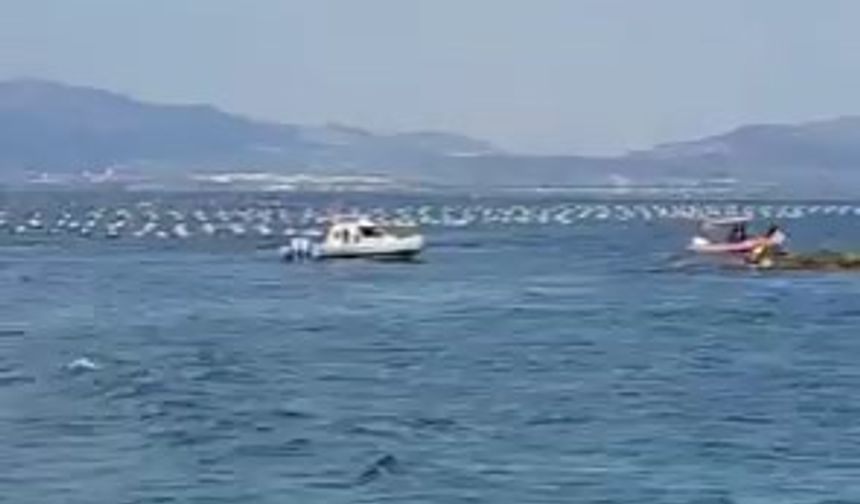 Herkes boğulduğunu sandı