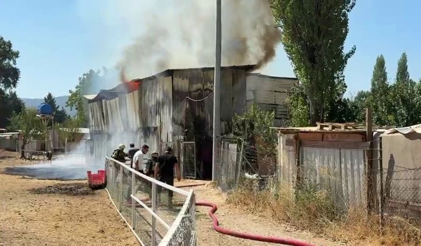 Bursa'da hayvan damında yangın