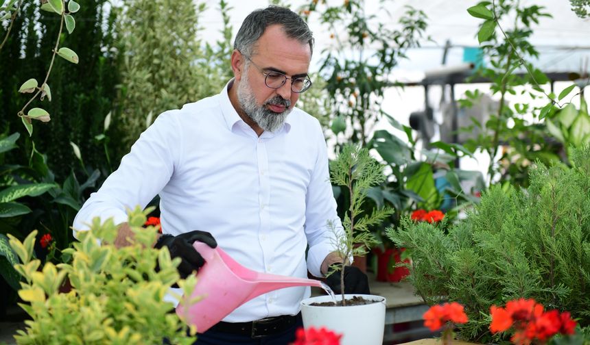 Kestel, gövde gösterisine hazırlanıyor