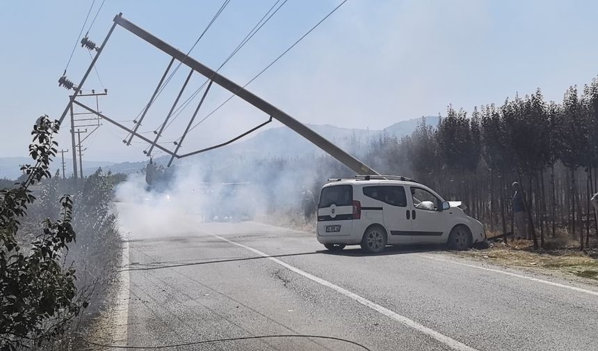 Kontrolden çıkan kamyonet elektrik direğini yerle bir etti