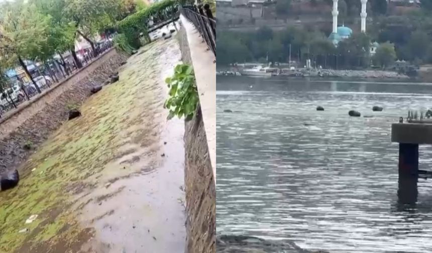 Gemlik Körfezi çöplüğe döndü