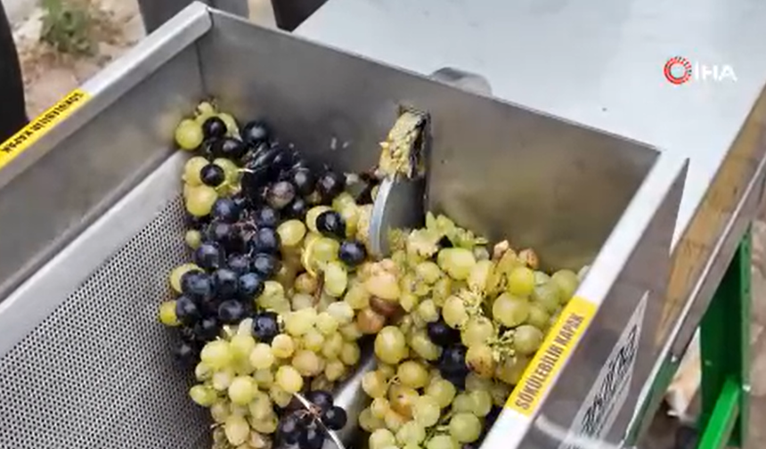 İnegöl Belediyesi’nden çiftçiye üzüm hasadını kolaylaştıran destek