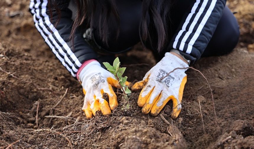 Uludağ Elektrik’ten Doğa Dostu Çözüm