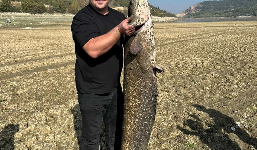 Kuruyan gölde dev balık tuttu