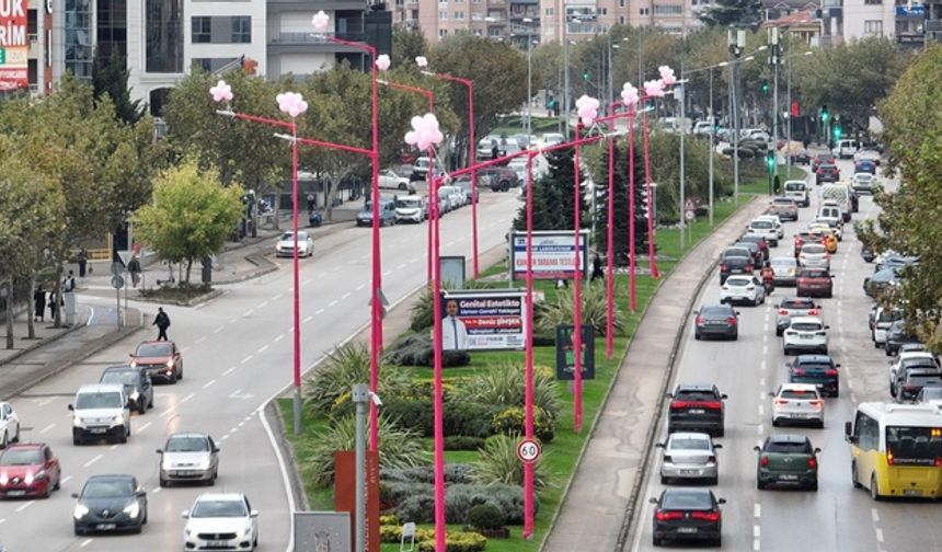 Sokak lambaları pembe oldu