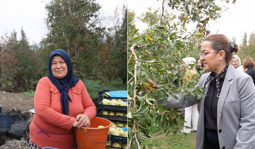 Topuklu iş kadınları ile şalvarlı köylü kadınları aynı tarlada