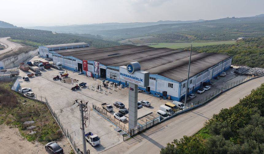 Marmarabirlik'ten 70 bin tonluk alım ve 50 milyon dolarlık ihracat hedefi