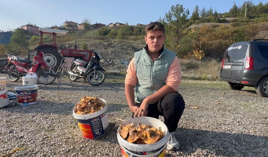 Okul harçlığını mantardan çıkarıyor