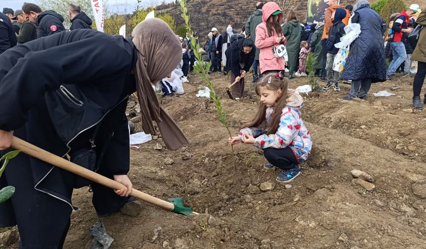Bursa’da yanan ormanlar Milli Ağaçlandırma Günü’nde yeniden yeşeriyor