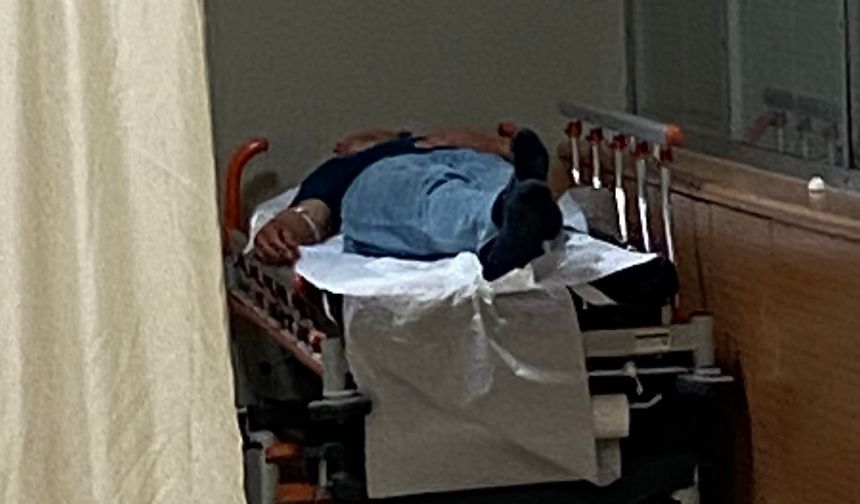 Ormandaki mantarları yiyen 7 kişi hastanelik oldu