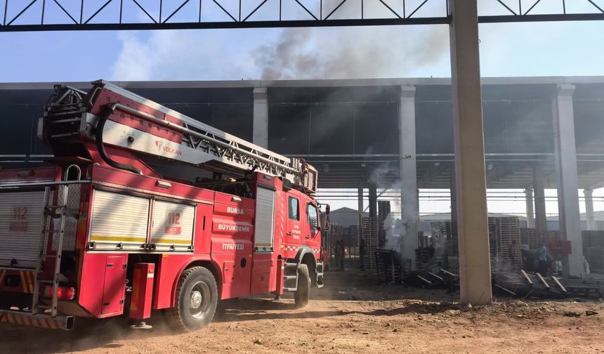 Bursa’da palet fabrikası alevlere teslim oldu
