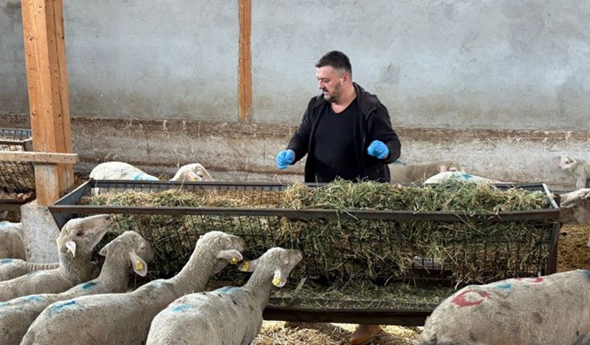 Bursalı şap mağduru üreticiler acil destek bekliyor