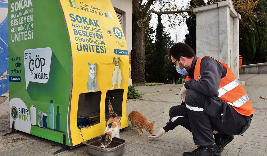 Yıldırım Belediyesi'nden sokak hayvanlarına sıcak yuva
