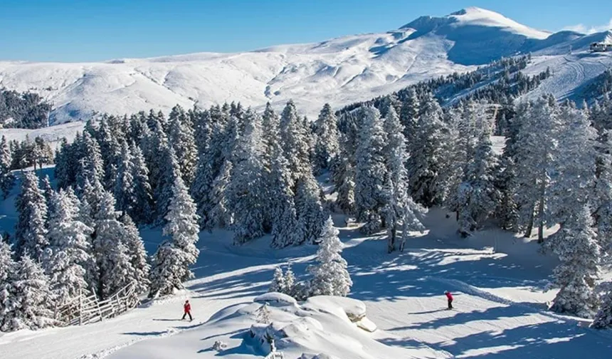 Uludağ Alan Başkanı görevden alındı, yeni atama yapıldı