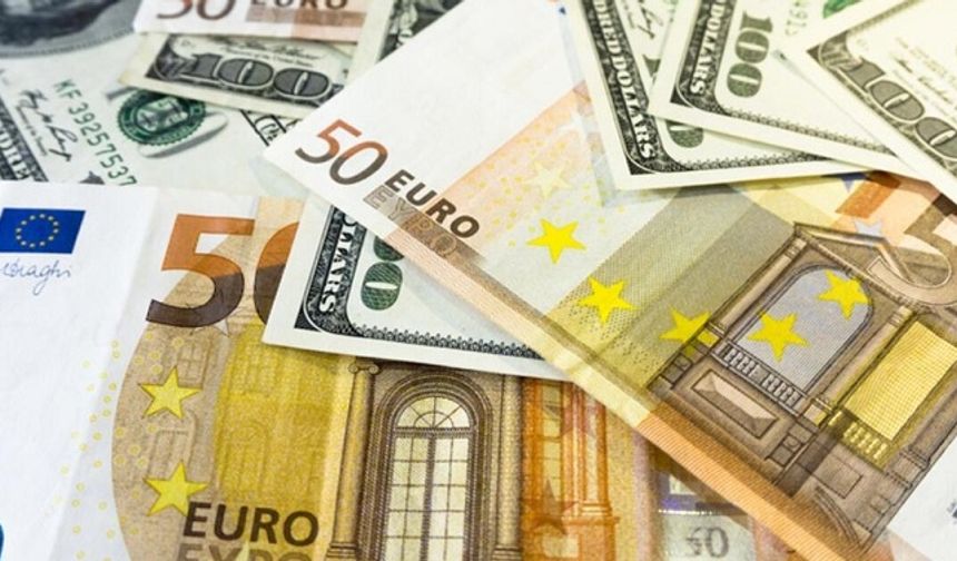 Döviz bürolarına sıkı denetim