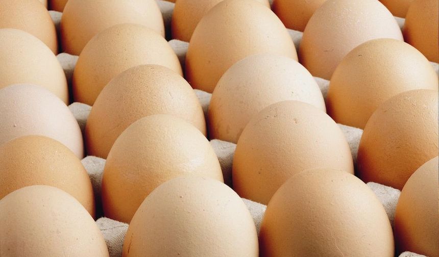 TİÜK verileri: Türkiye'de yumurta üretiminde düşüş