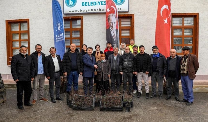 Bursa’da kırsal kalkınma hamlesi: Üreticilere aspir tohumu ve fidan desteği