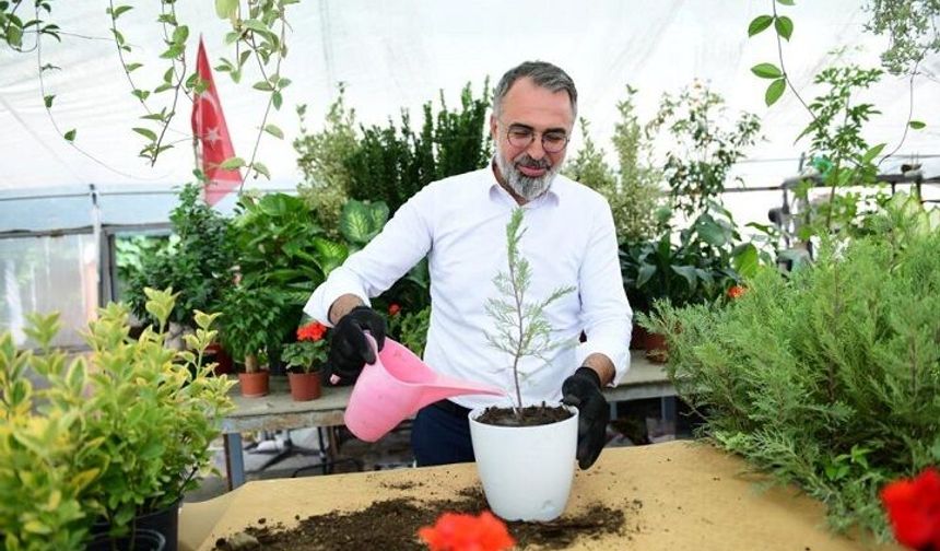 Kestel Belediyesi’nden süs bitkileri üreticilerine destek