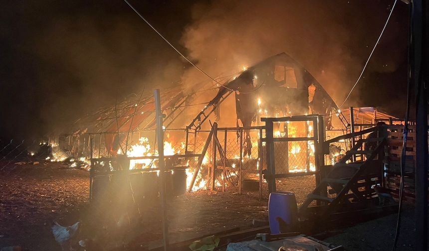 Bursa'da çiftlikte yangın: 580 kanatlı hayvan telef oldu