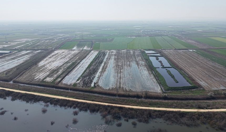 Bursa'da tarlaya traktör girmiyor, hayvan meraya çıkamıyor