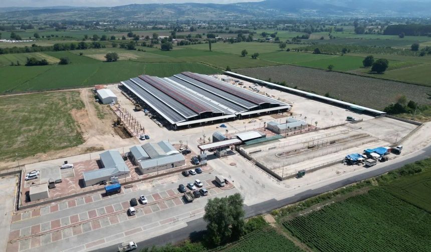 İnegöl Belediyesi hayvan pazarının kotra ihale tarihi belli oldu