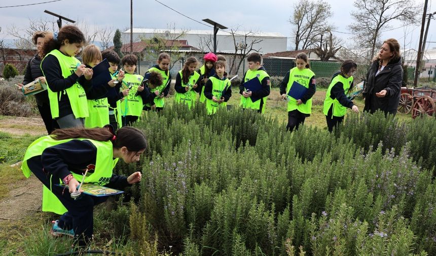 Ürünlü'de doğa sevgisi yeşeriyor