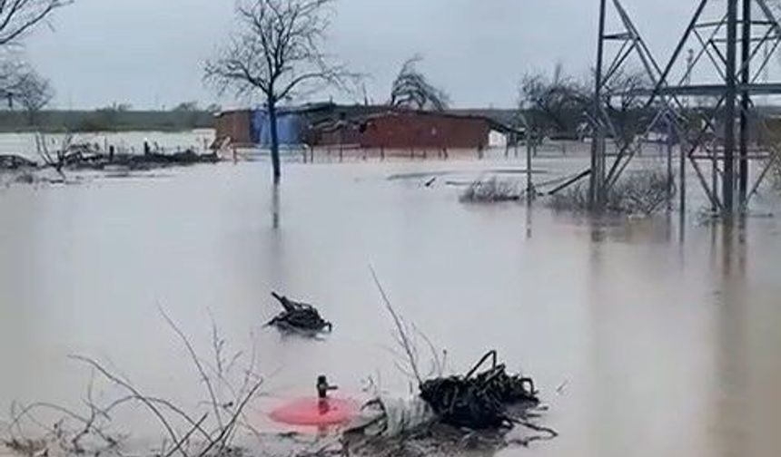 Bursa'da tarlalar göle döndü, hayvanlar mahsur kaldı