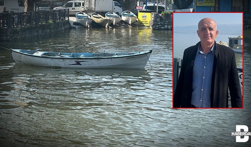 Bursa'da balıkçılar bu haberi bekliyordu! On yıl sonra ilk...