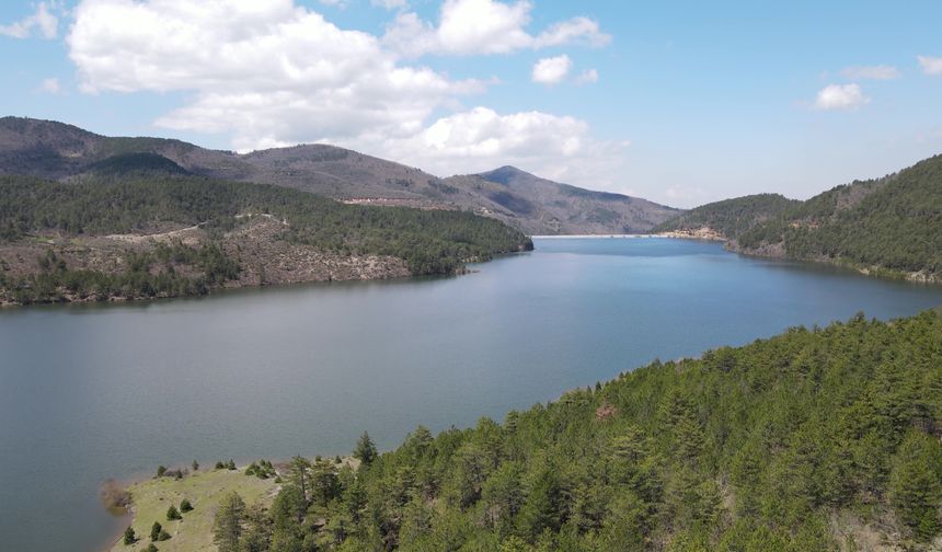 Bursa'nın dereleri coştu!