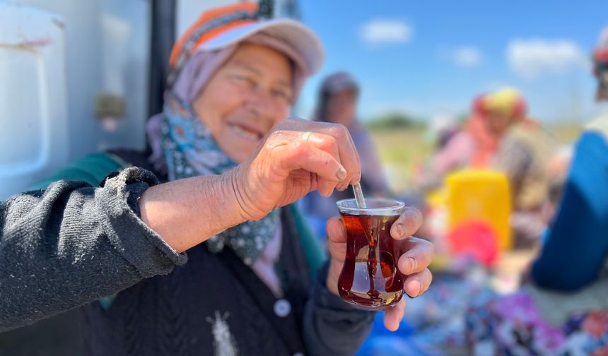 Tarlada Yorulan İşçiler, Odun Ateşinde Demlenen Çayla Dinleniyor