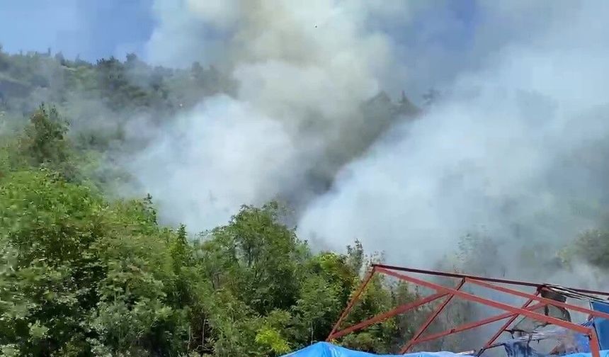 Bursa'da yangına havadan ve karadan müdahale