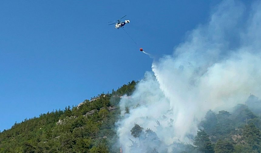 Bursa'da orman yangınına havadan müdahale