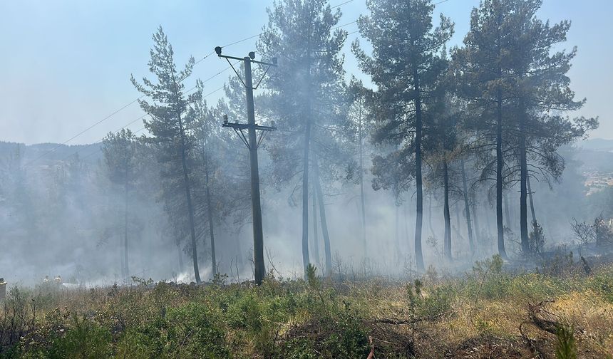 Bursa'da 3 helikopter ve 9 arazözle yangın mesaisi