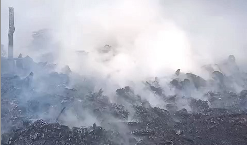Bursa'da 20 dönümlük tarla alevlere teslim oldu