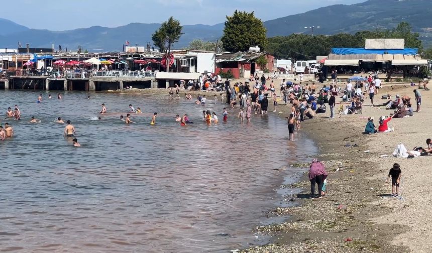 Mudanya'da müsilajdan sonra turuncu alarm