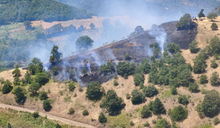 Bursa'da anız yangınına havadan ve karadan müdahale