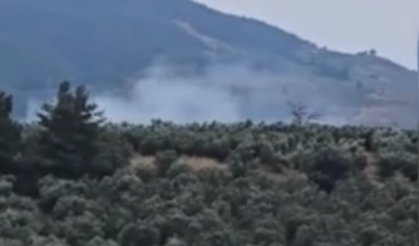 Bursa'da bağ evinde çıkan yangın zeytinliğe sıçradı