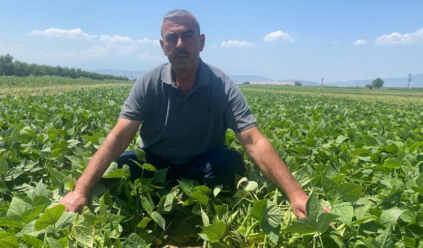 Bu köyde çiftçi sadece tarlasını hazırlıyor, gerisini kooperatif yapıyor