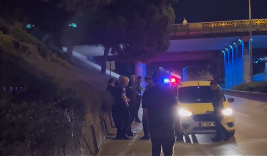 Kardeş kavgası babayı yola, polisi sokağa döktü