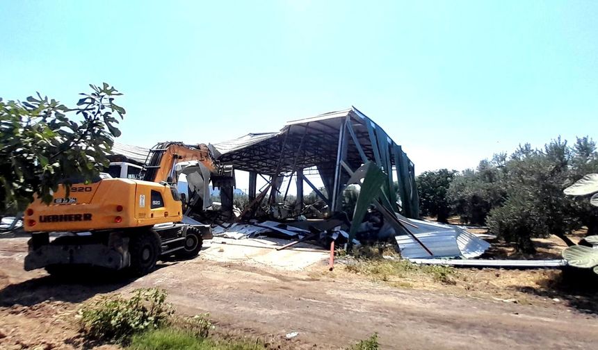 Bursa'da zeytinliğe yapılan kaçak depo böyle yıkıldı