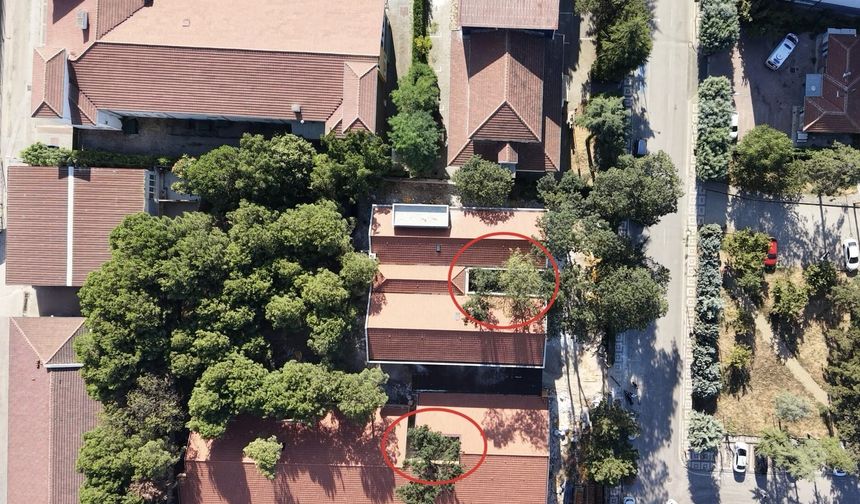 Bursa'da örnek okul projesi: 50 yıllık ağaçlar binanın içinde kaldı